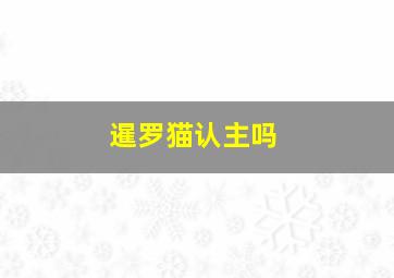 暹罗猫认主吗