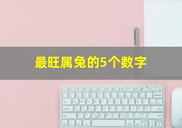 最旺属兔的5个数字