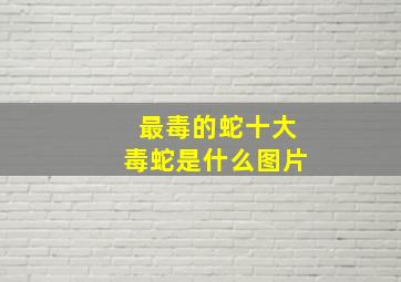 最毒的蛇十大毒蛇是什么图片