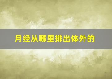 月经从哪里排出体外的