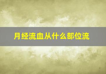 月经流血从什么部位流