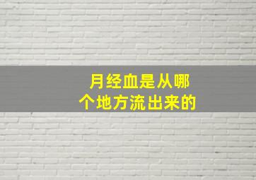 月经血是从哪个地方流出来的