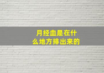 月经血是在什么地方排出来的