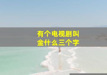 有个电视剧叫金什么三个字