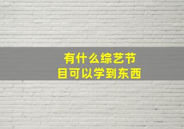 有什么综艺节目可以学到东西