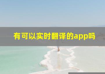 有可以实时翻译的app吗