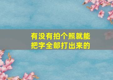 有没有拍个照就能把字全部打出来的