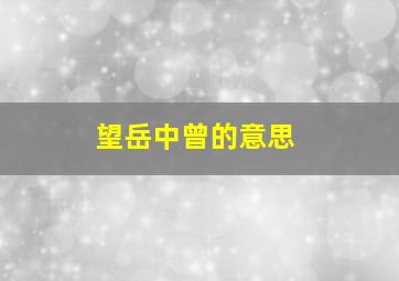 望岳中曾的意思