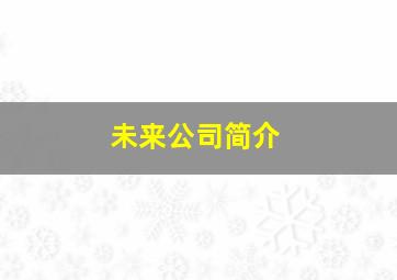 未来公司简介