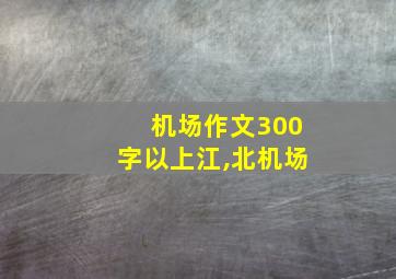 机场作文300字以上江,北机场