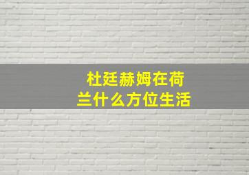 杜廷赫姆在荷兰什么方位生活