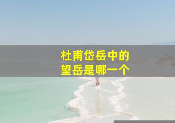 杜甫岱岳中的望岳是哪一个