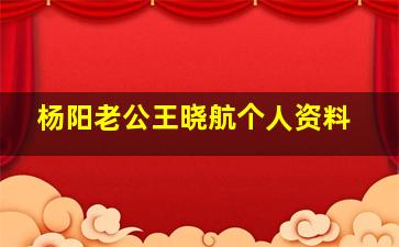 杨阳老公王晓航个人资料