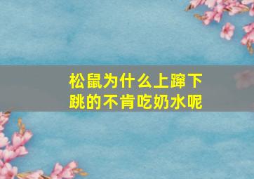 松鼠为什么上蹿下跳的不肯吃奶水呢