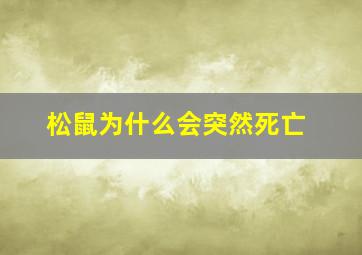 松鼠为什么会突然死亡