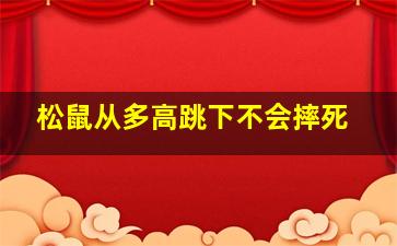 松鼠从多高跳下不会摔死