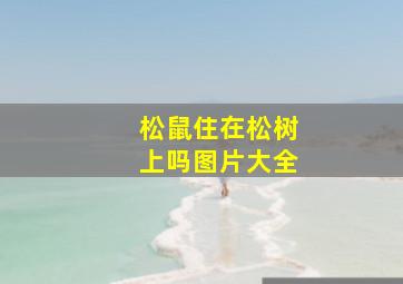 松鼠住在松树上吗图片大全