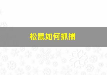 松鼠如何抓捕