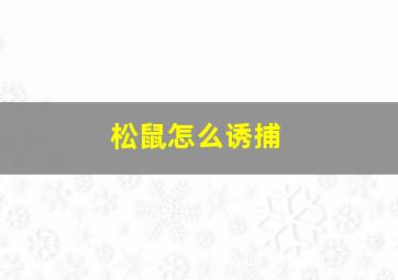 松鼠怎么诱捕