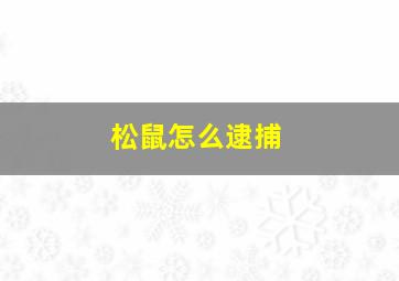 松鼠怎么逮捕