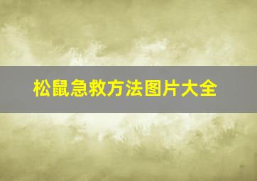 松鼠急救方法图片大全