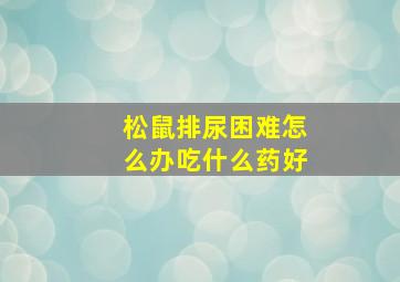 松鼠排尿困难怎么办吃什么药好