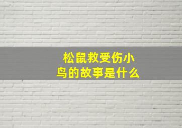 松鼠救受伤小鸟的故事是什么