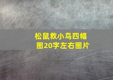 松鼠救小鸟四幅图20字左右图片