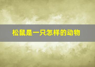 松鼠是一只怎样的动物