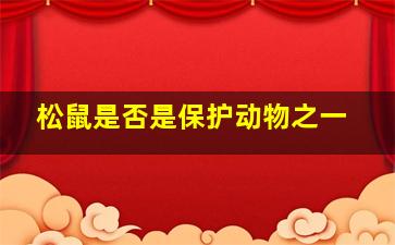 松鼠是否是保护动物之一