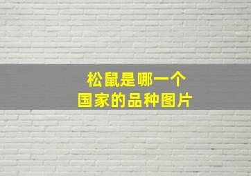 松鼠是哪一个国家的品种图片