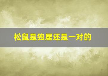 松鼠是独居还是一对的