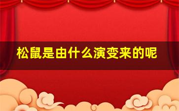 松鼠是由什么演变来的呢