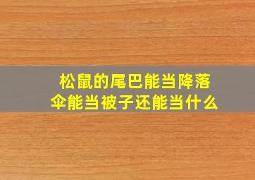 松鼠的尾巴能当降落伞能当被子还能当什么