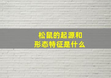 松鼠的起源和形态特征是什么