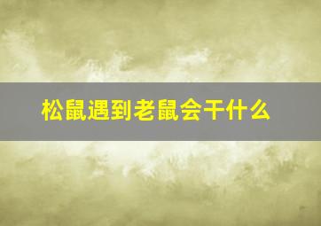 松鼠遇到老鼠会干什么