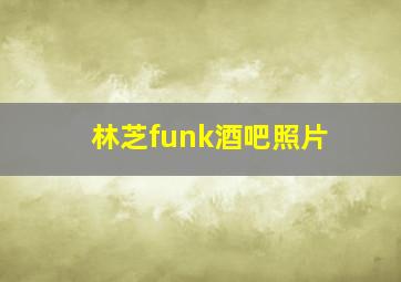 林芝funk酒吧照片