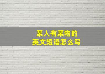 某人有某物的英文短语怎么写