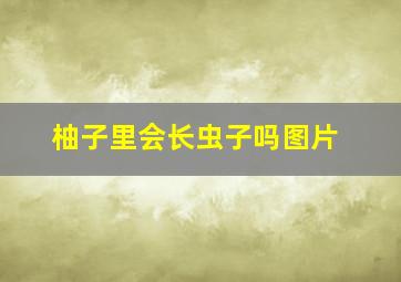 柚子里会长虫子吗图片