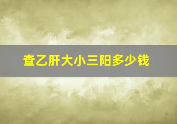 查乙肝大小三阳多少钱