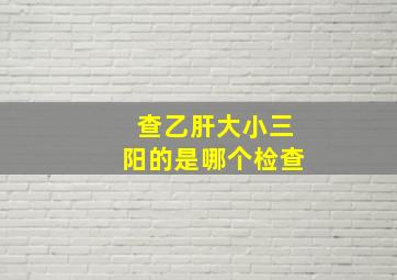 查乙肝大小三阳的是哪个检查