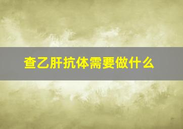 查乙肝抗体需要做什么