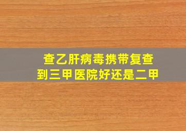 查乙肝病毒携带复查到三甲医院好还是二甲