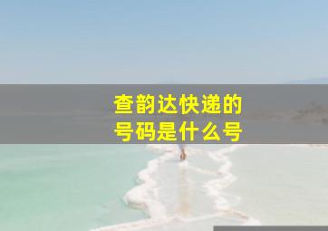 查韵达快递的号码是什么号