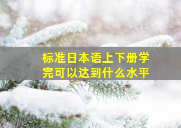 标准日本语上下册学完可以达到什么水平