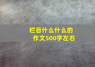 栏目什么什么的作文500字左右