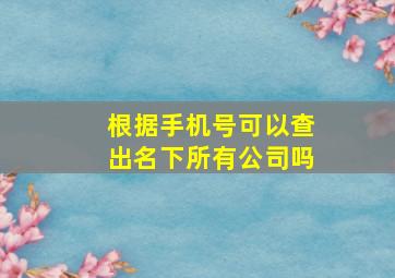 根据手机号可以查出名下所有公司吗