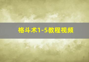 格斗术1-5教程视频