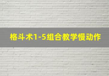 格斗术1-5组合教学慢动作