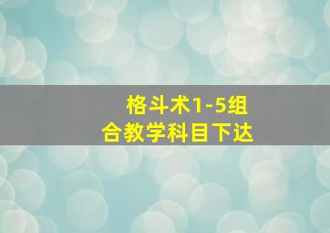 格斗术1-5组合教学科目下达